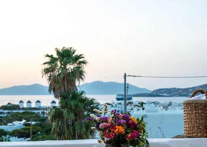 Dimele & Hotel Mykonos Town